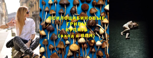 бошки Вяземский