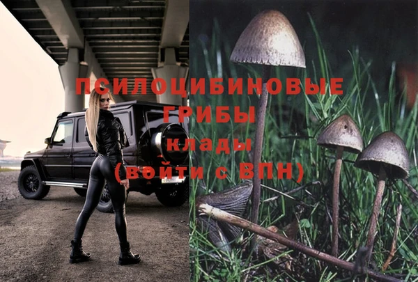 бошки Вяземский